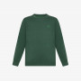 Wool and cotton jumper DARK GREEN