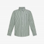 Striped cotton shirt DARK GREEN/WHITE