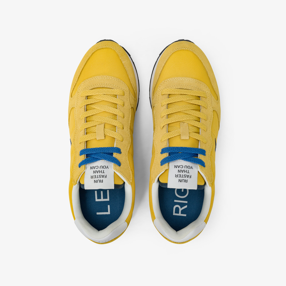 TOM SOLID YELLOW