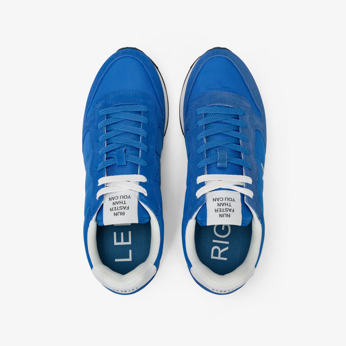 TOM SOLID ROYAL