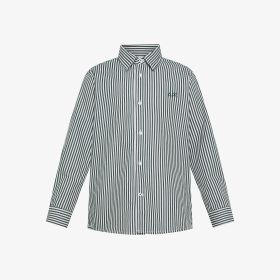 Dark green/white striped cotton shirt