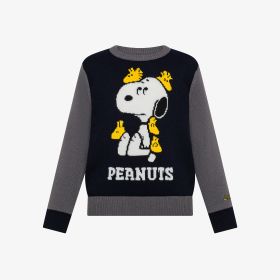 Boy's sweater bicolor peanuts artwork